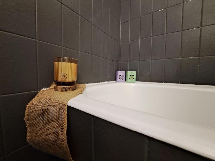 Charmant Duplex A Thiers, Vue Sur La Chaine Des Puys Zewnętrze zdjęcie